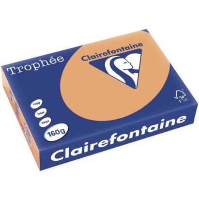 250 Blatt Kopierpapier Clairalfa Universal-Papier Trophée (Camel) DIN A4, 160 g/qm