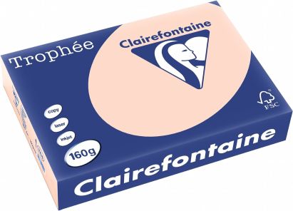250 Blatt Kopierpapier Clairalfa Universal-Papier Trophée (Lachs) DIN A4, 160 g/qm